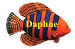Daphne